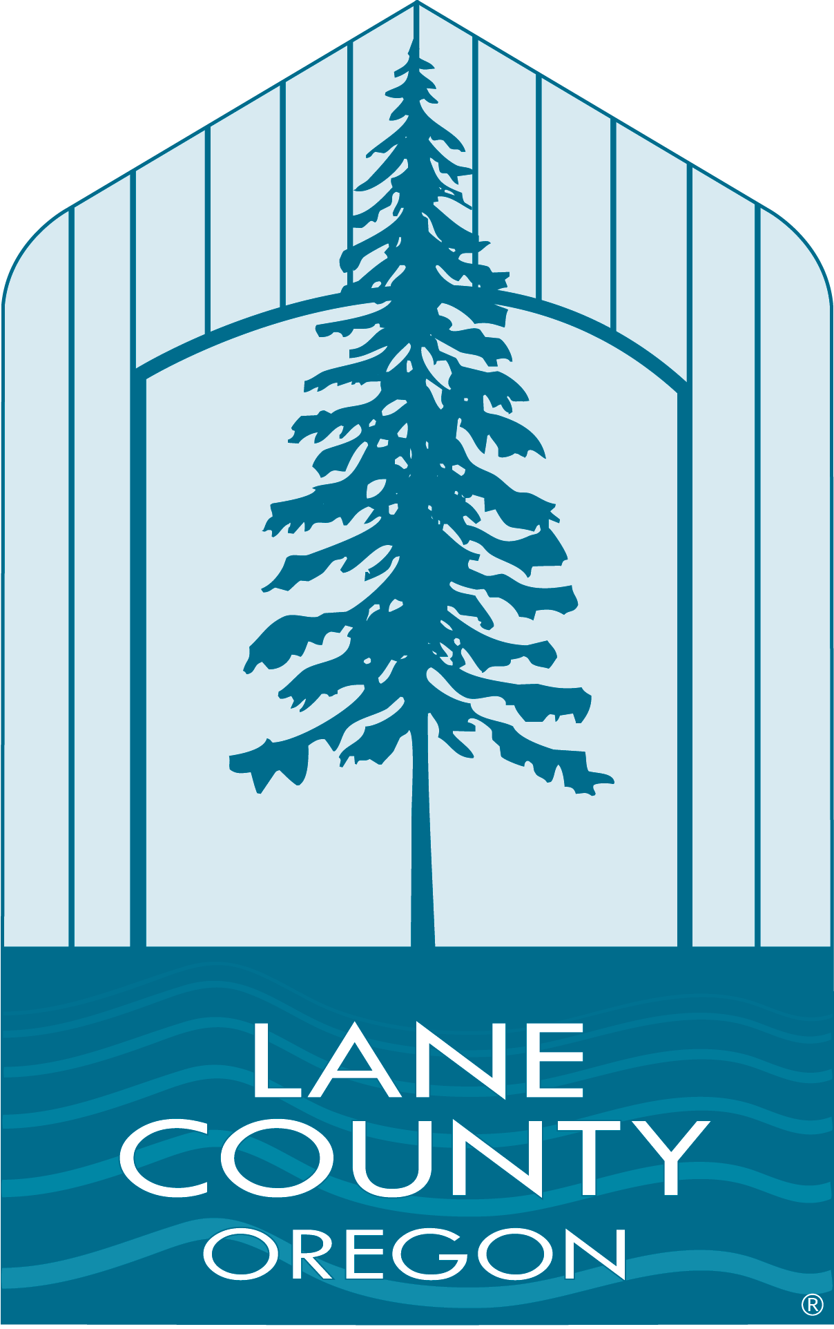 SHARE YOUR THOUGHTS ON A NEW STRATEGIC PLAN FOR LANE COUNTY