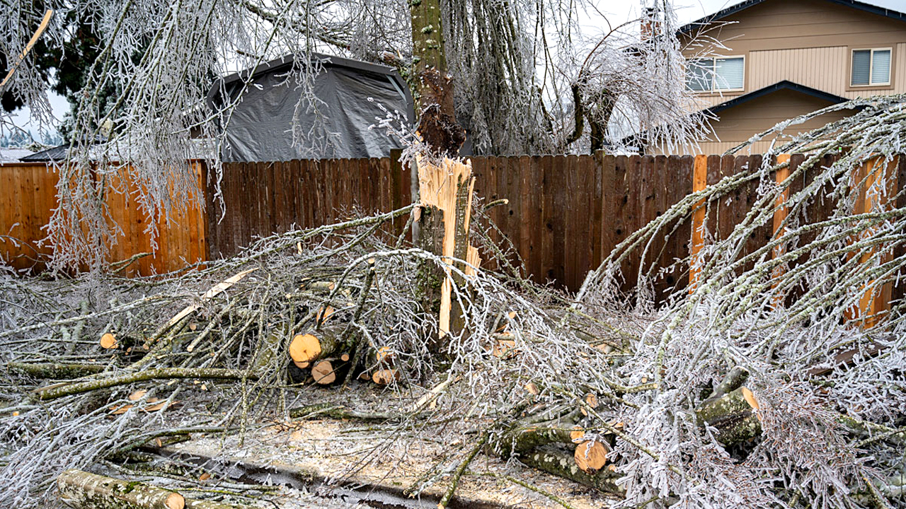 City of Springfield Reflects on 2024 Ice Storm: A Year of Recovery ...